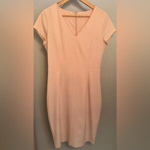 Chic Blush Mini Dress